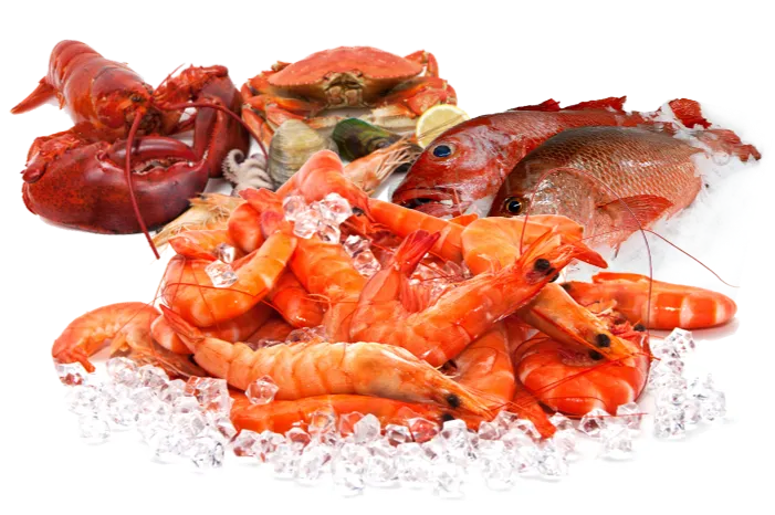 Sam Surgeles Epicerie Portugaise A Orleans Epicerie Portugaise A Fleury Les Aurbais Pres DOrleans 1