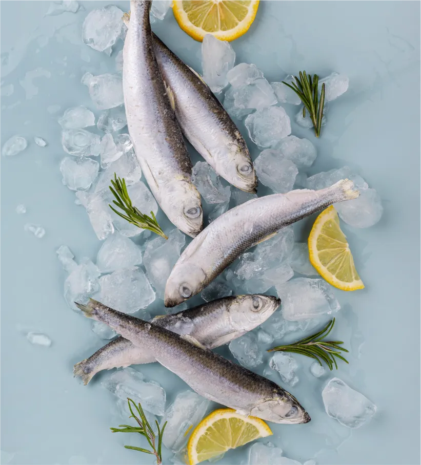 Sam Surgeles Epicerie Portugaise A Orleans Poisson Surgele 1 Sam Surgeles Epicerie Portugaise A Orleans Poisson Surgele 1